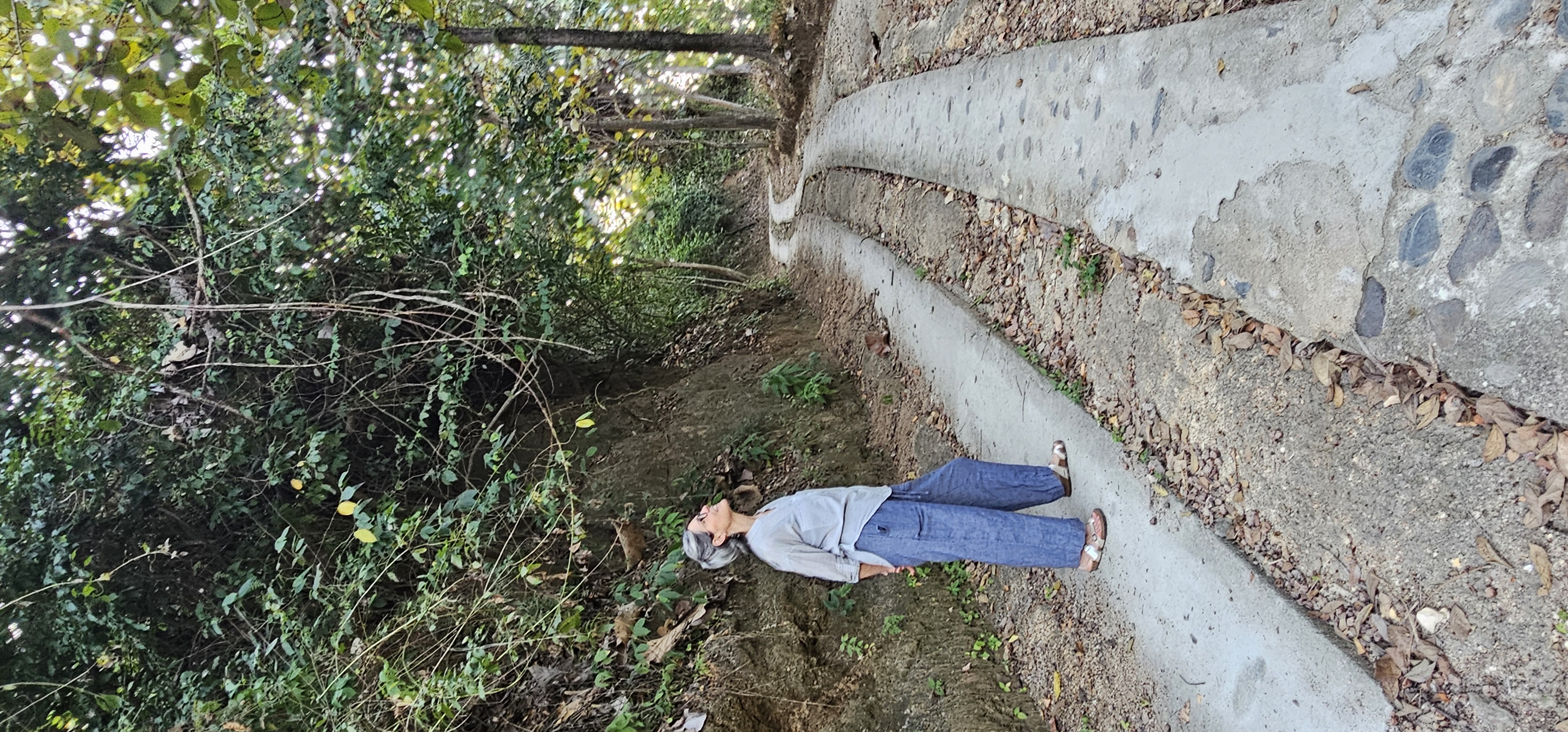 Lost in lush jungle whispers, chasing vibrant wings above winding mountain trails.