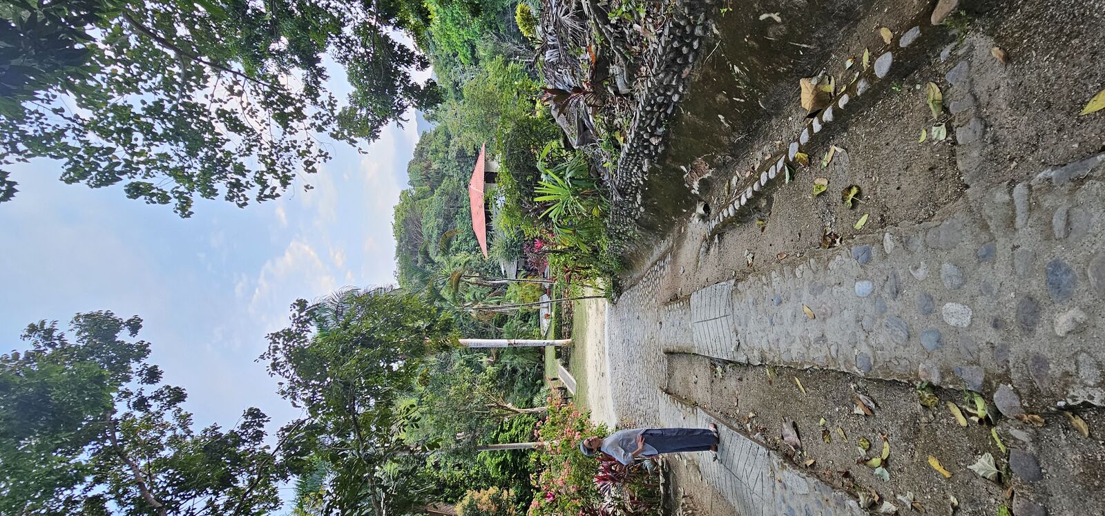 Winding jungle paths, vibrant blooms, and the promise of adventure in Colombia's lush heart.