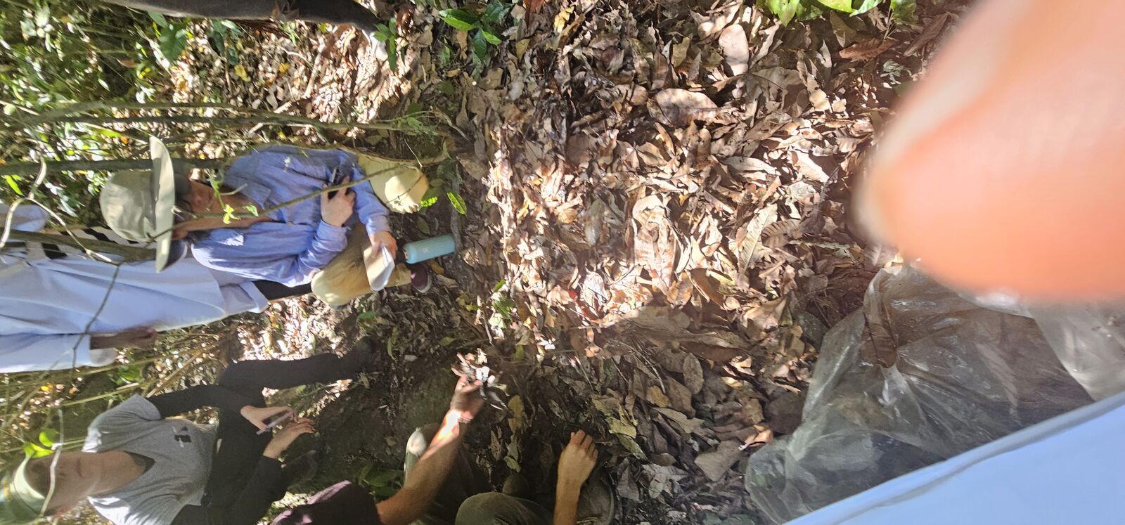 Exploring Colombia’s jungle classroom—where leaf-covered secrets and cacao stories come alive. 🌿🍫📚