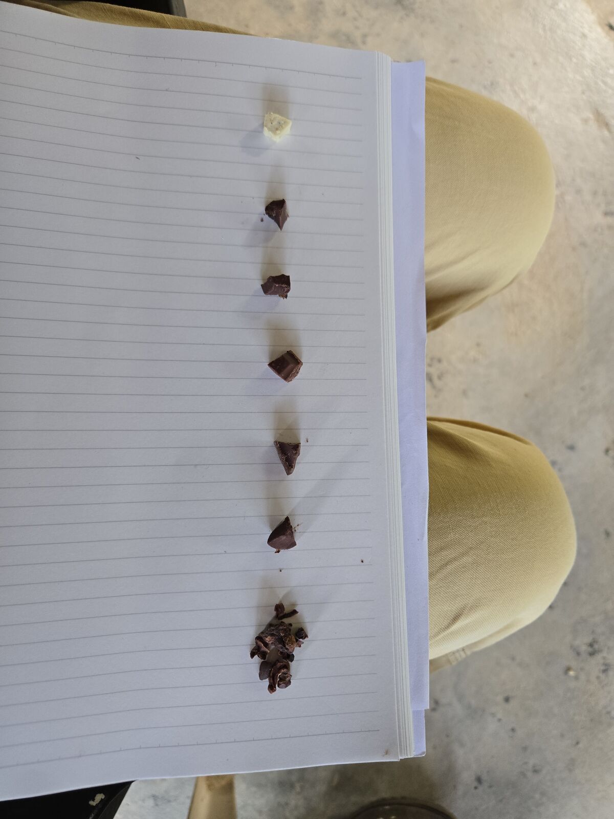 Discovering cacao's journey: from jungle beans to exquisite chocolate, savor Colombia's sweet secrets. 🍫🌿