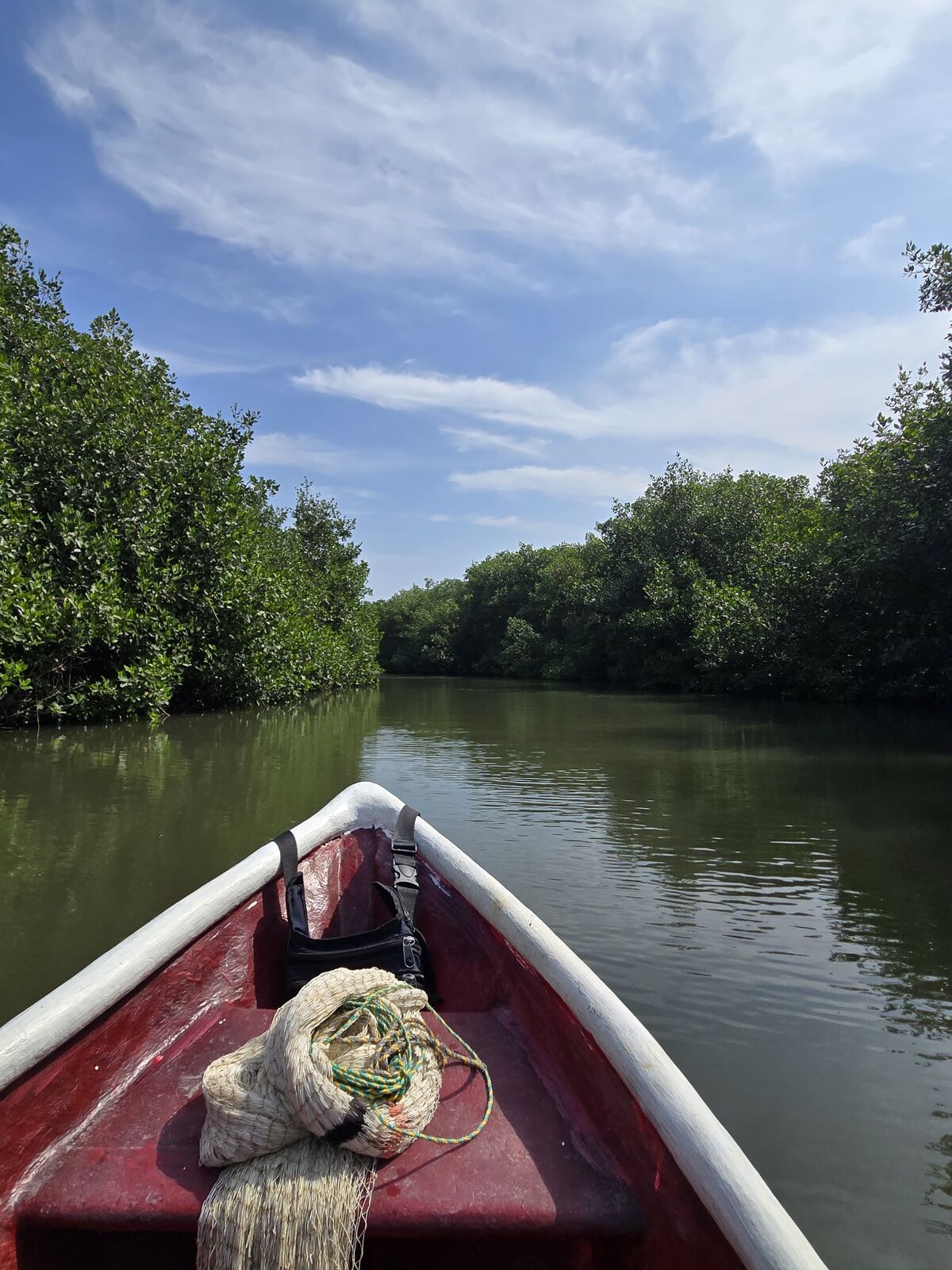Gliding through emerald mangroves, embracing nature’s calm on a vibrant Colombian adventure.