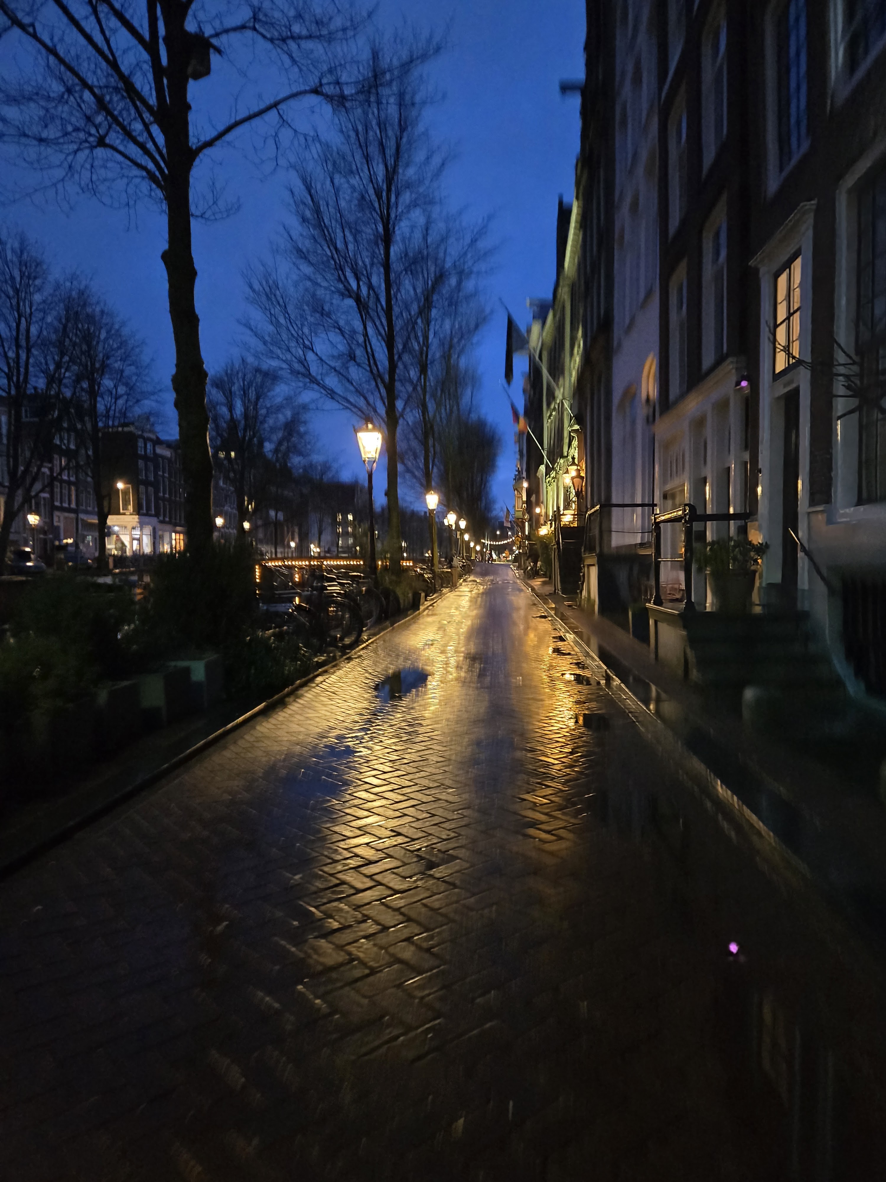 Golden street lamps reflect on wet cobblestones, inviting quiet evening strolls through charming city canals.